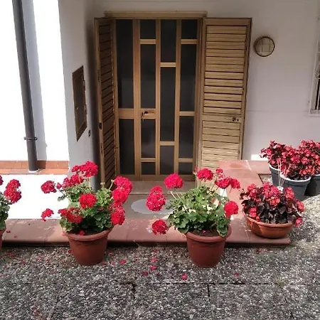 Appartement Casa Mia - Marina Di - Ascea