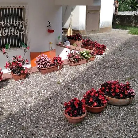 Casa Mia - Marina Di - Appartement *